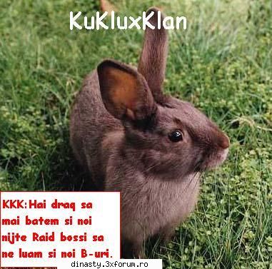kukluxklan (dati click pe ele pentru a se vede mai mari) dinasty (imagini fun)