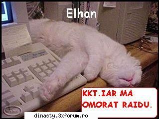 elhan (dati click pe ele pentru a se vede mai mari) dinasty (imagini fun)