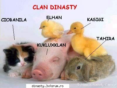 Dinasty (Imagini Fun) - CLAN DINASTY (dati click pe ele pentru a se vede - Poze