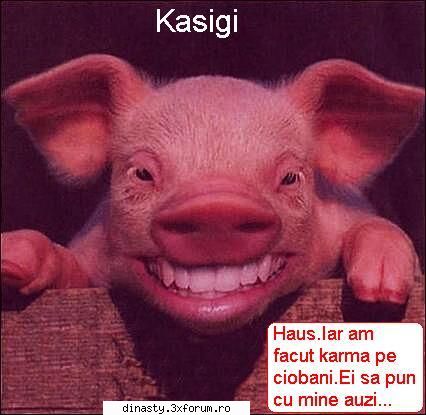 Dinasty (Imagini Fun) - Kasigi (dati click pe ele pentru a se vede mai - Poze