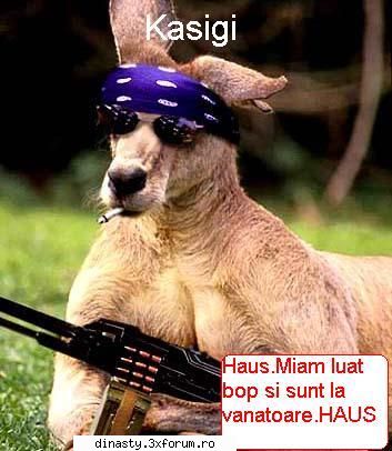 Dinasty (Imagini Fun) - Kasigi .LA VANATOARE!!!!!!!(dati click pe ele - Poze