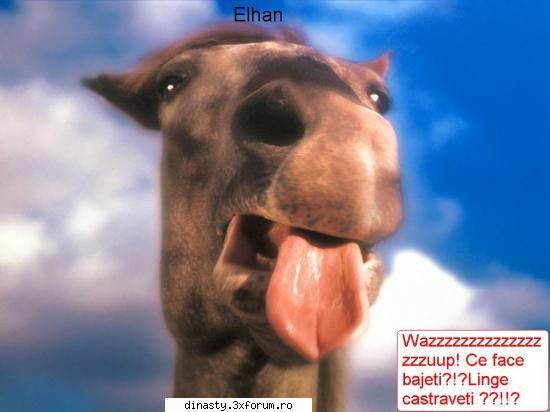 Dinasty (Imagini Fun) - Elhan (dati click pe ele pentru a se vede mai - Poze