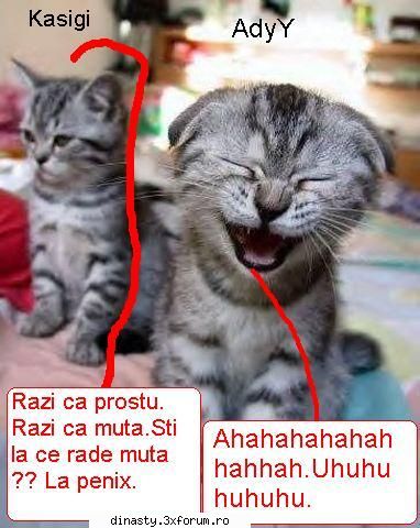 Dinasty (Imagini Fun) - Kasigi vs. AdyY - Poze
