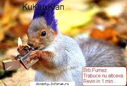 Dinasty (Imagini Fun) - KuKluxKlan (dati click pe ele pentru a se vede - Poze
