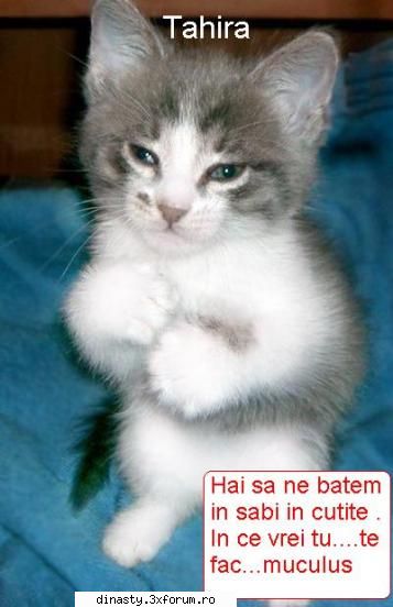 Dinasty (Imagini Fun) - Tahira in Combat - Poze
