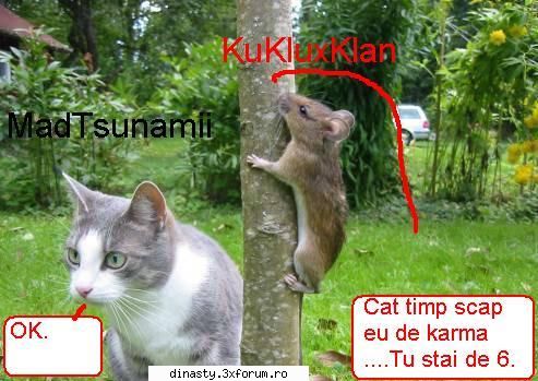 Dinasty (Imagini Fun) - Se chinuie baieti se scape de karma - Poze