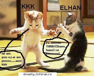 Dinasty (Imagini Fun) - Cu dedicatie!!!!!Fara numar cu DOOM SI BW - Poze