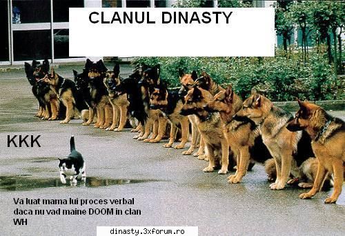Dinasty (Imagini Fun) - Din|Ciobanila - Poze